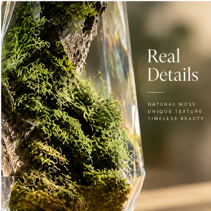 Close-up of natural moss strands across the rugged interior landscape